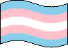 :TransPrideFlag: